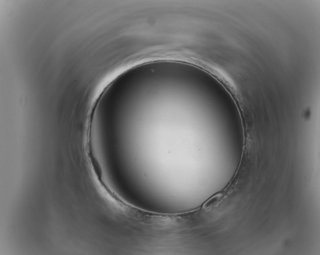 X0000090711528200707271121