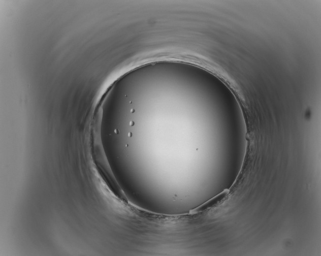 X0000090711530200707271121