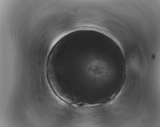 X0000090711533200707271121