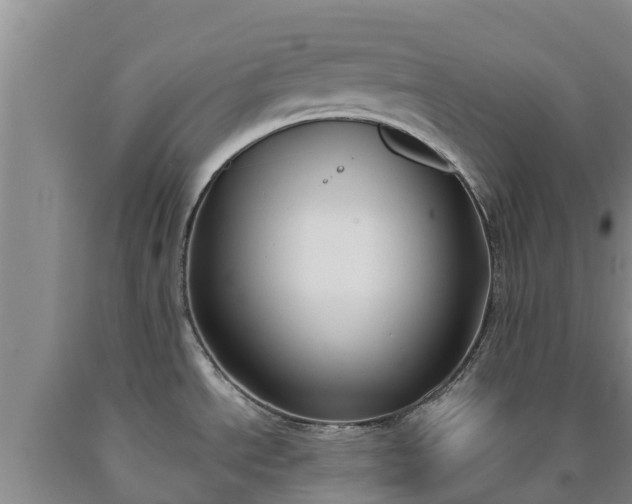 X0000090711534200707271121