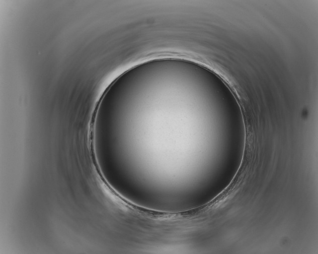 X0000090711535200707271121