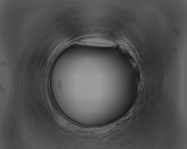 X0000090710001200708031442