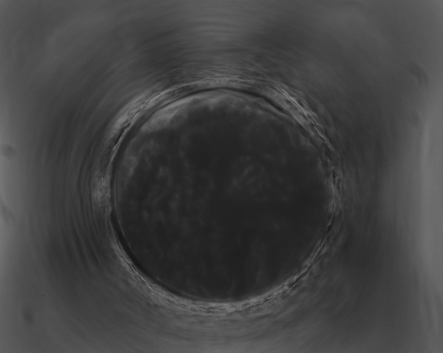 X0000090710002200708031442