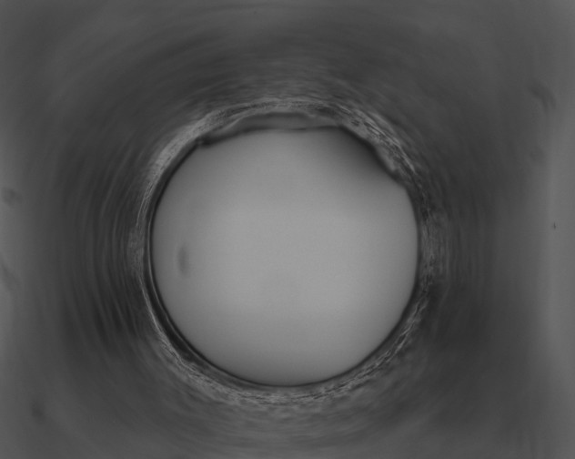 X0000090710003200708031442