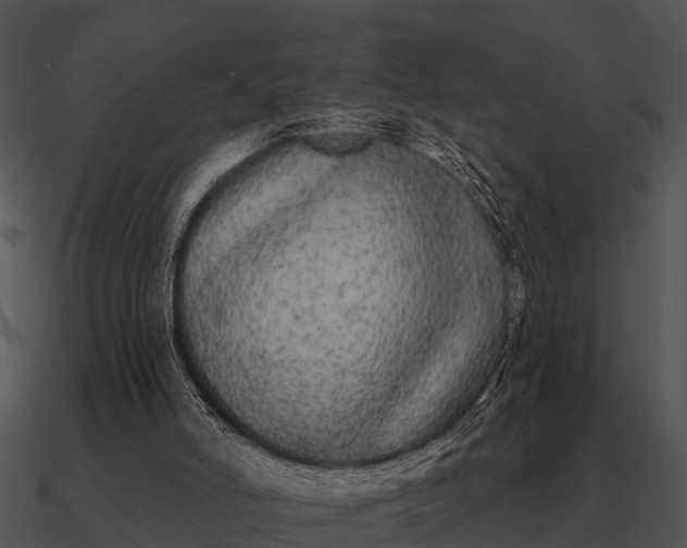 X0000090710006200708031442