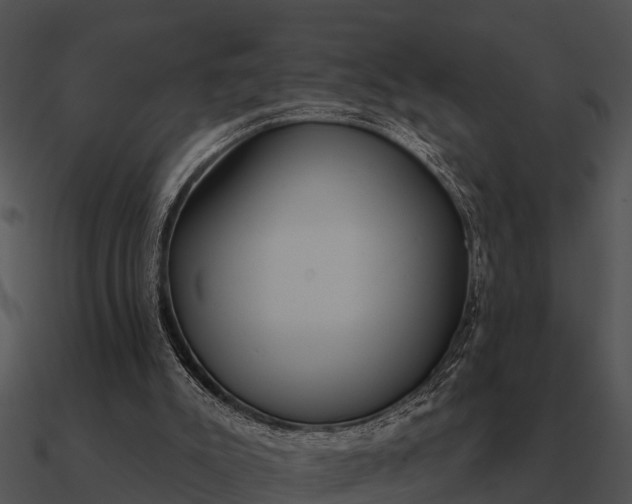 X0000090710007200708031442