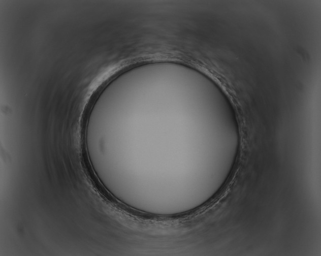 X0000090710008200708031442