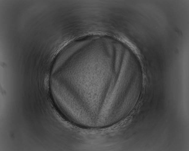 X0000090710009200708031442