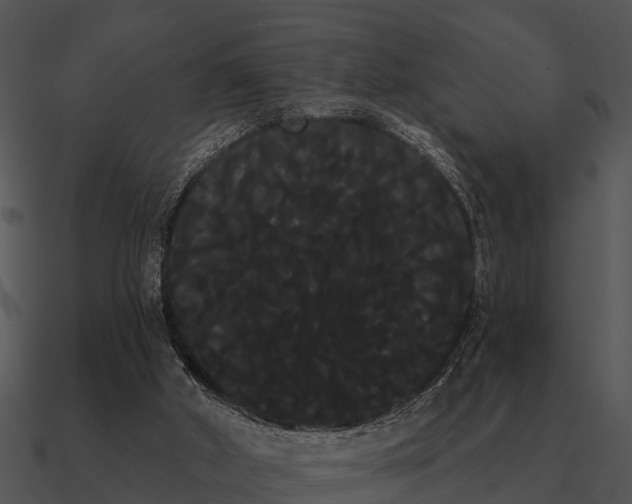 X0000090710010200708031442