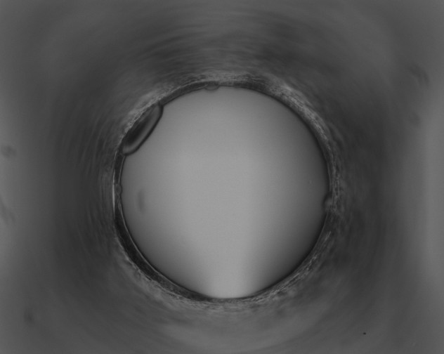 X0000090710011200708031442