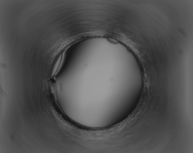 X0000090710013200708031442