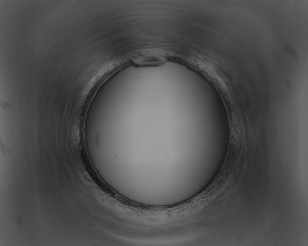 X0000090710015200708031442