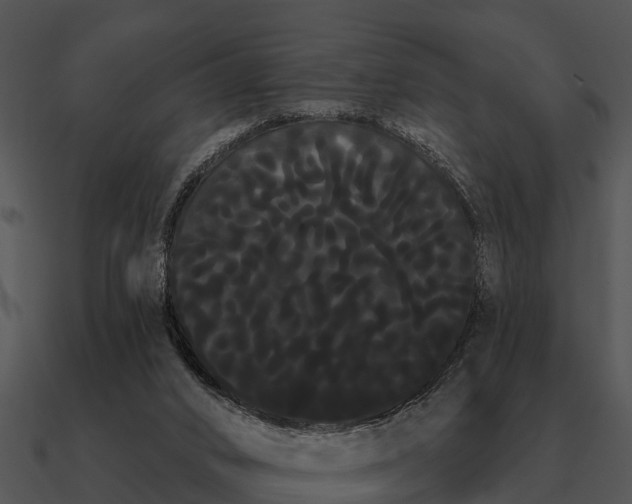 X0000090710016200708031442