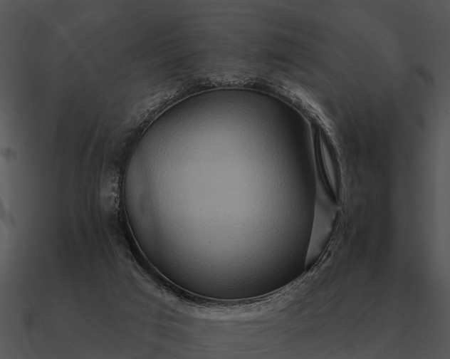 X0000090710017200708031442