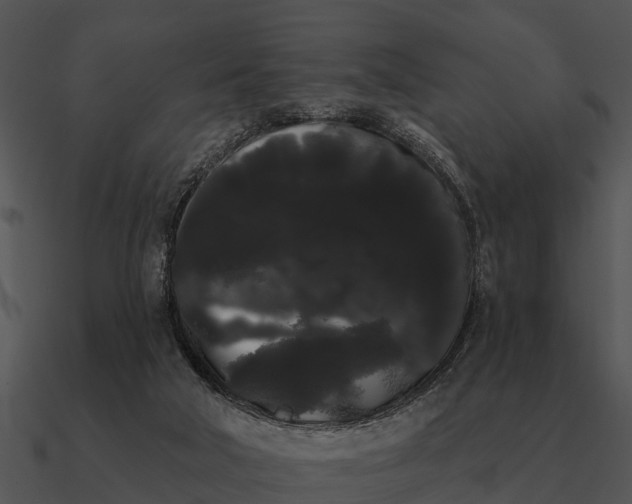 X0000090710018200708031442