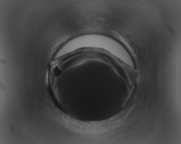 X0000090710019200708031442