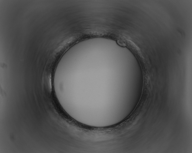 X0000090710020200708031442