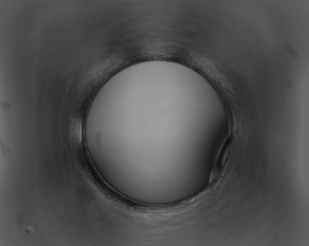 X0000090710021200708031442