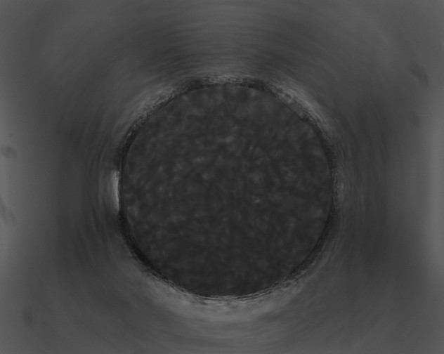 X0000090710022200708031442