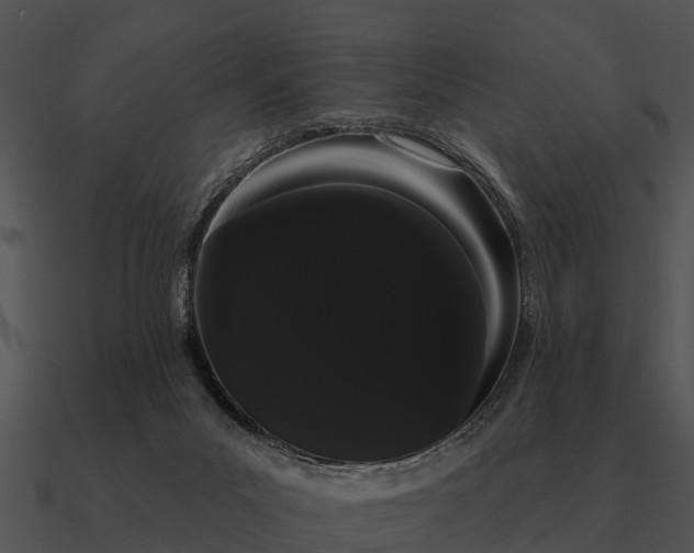 X0000090710023200708031442