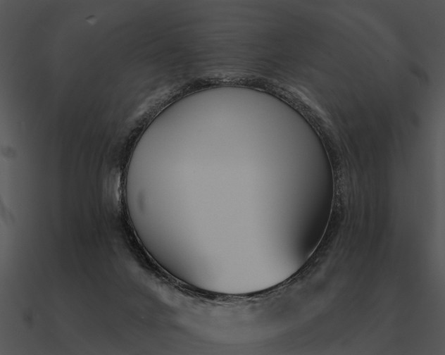 X0000090710024200708031442