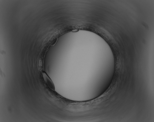 X0000090710025200708031442