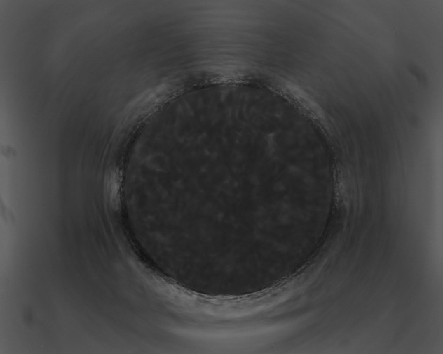 X0000090710026200708031442