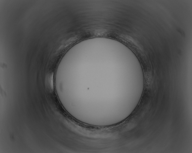 X0000090710028200708031442