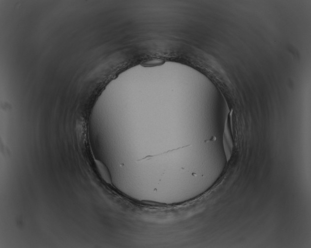 X0000090710029200708031442