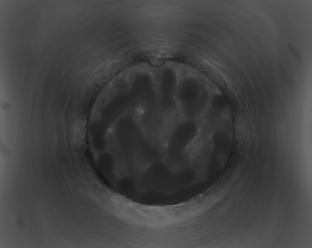 X0000090710030200708031442