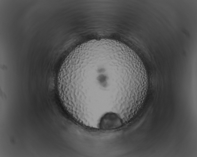 X0000090710032200708031442