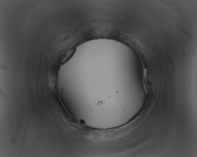 X0000090710033200708031442