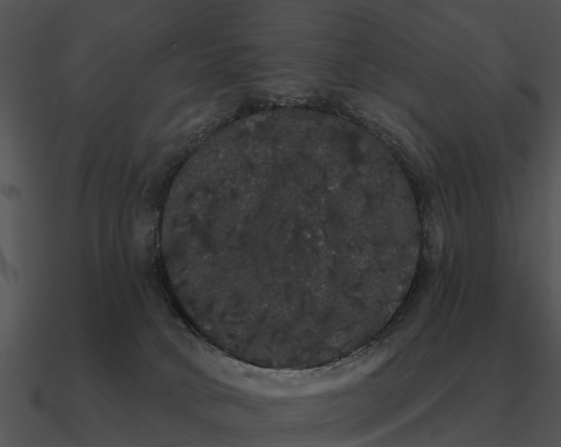 X0000090710034200708031442