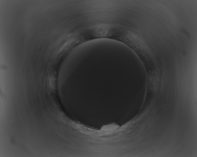 X0000090710035200708031442