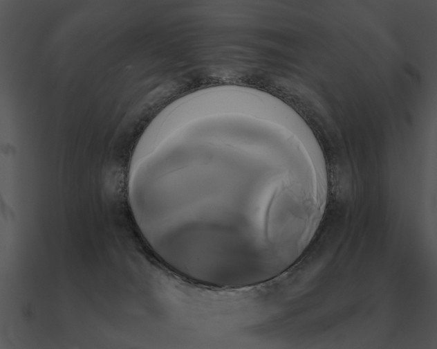 X0000090710036200708031442