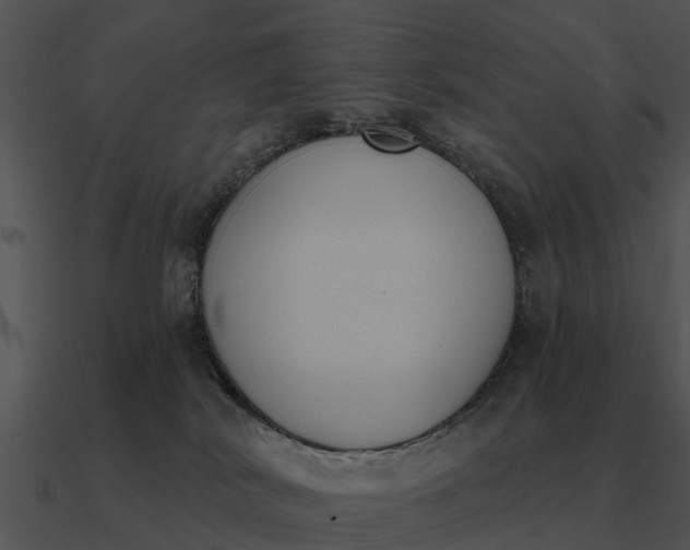 X0000090710038200708031442