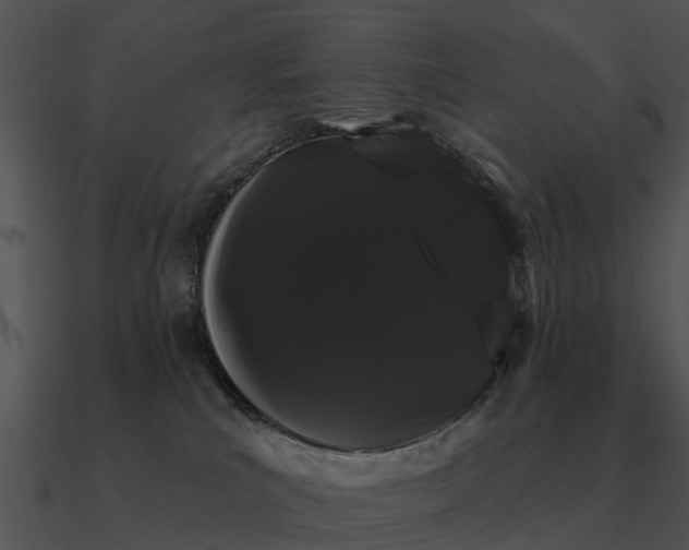 X0000090710039200708031442