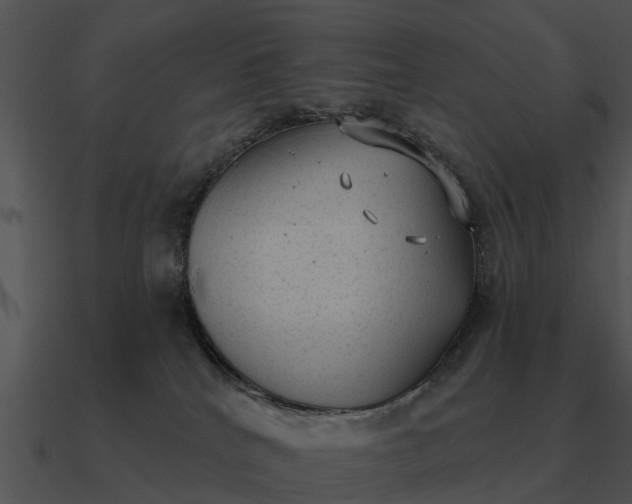 X0000090710040200708031442