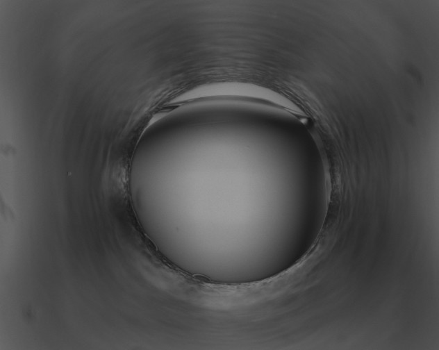 X0000090710045200708031442