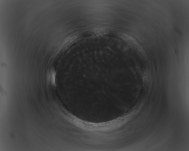 X0000090710046200708031442