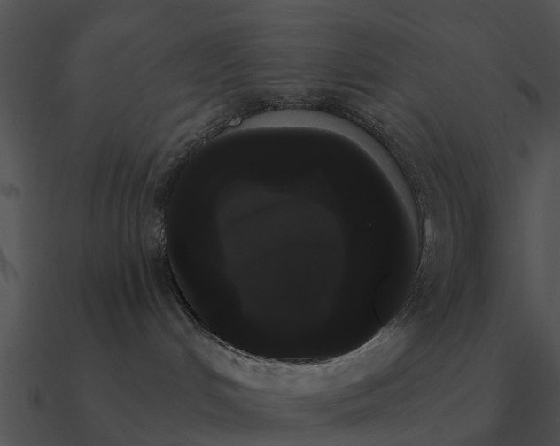 X0000090710048200708031442