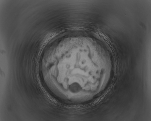 X0000090710049200708031441