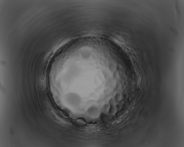 X0000090710050200708031441