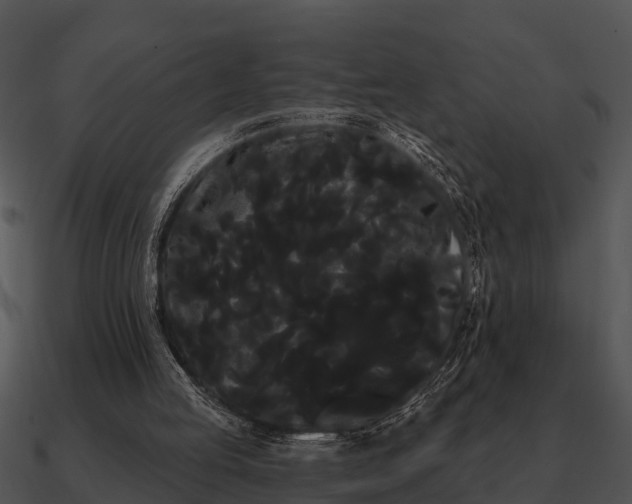 X0000090710053200708031441