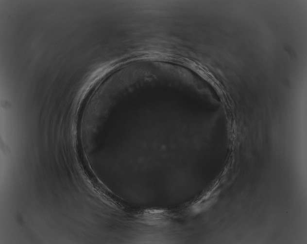 X0000090710055200708031441