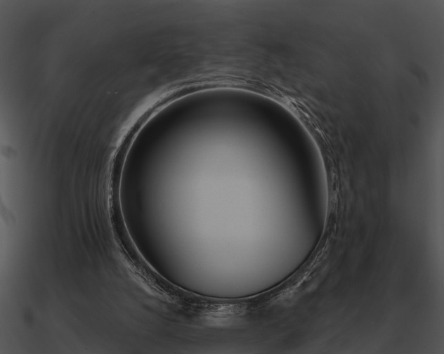 X0000090710056200708031441