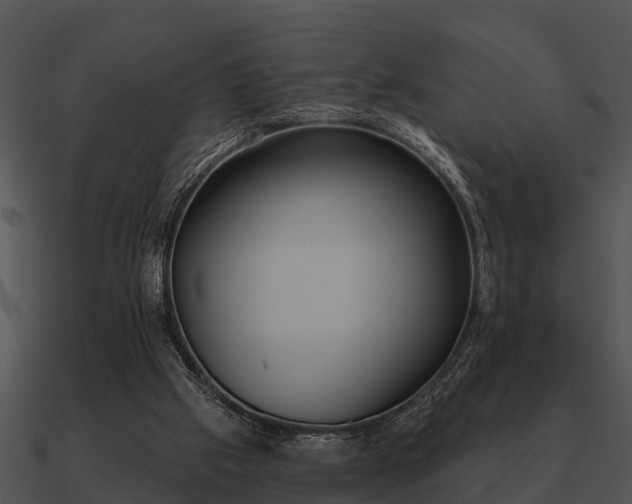 X0000090710057200708031441