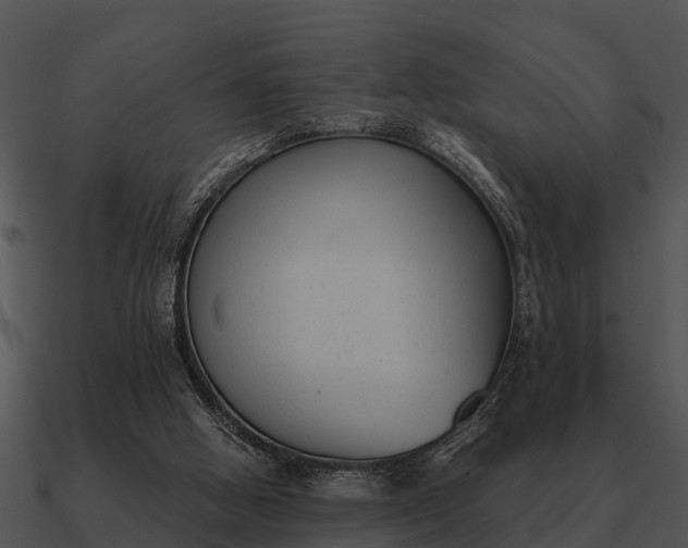 X0000090710058200708031441