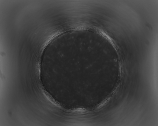 X0000090710059200708031441