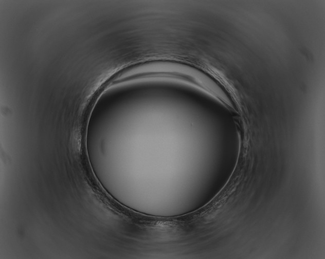 X0000090710060200708031441